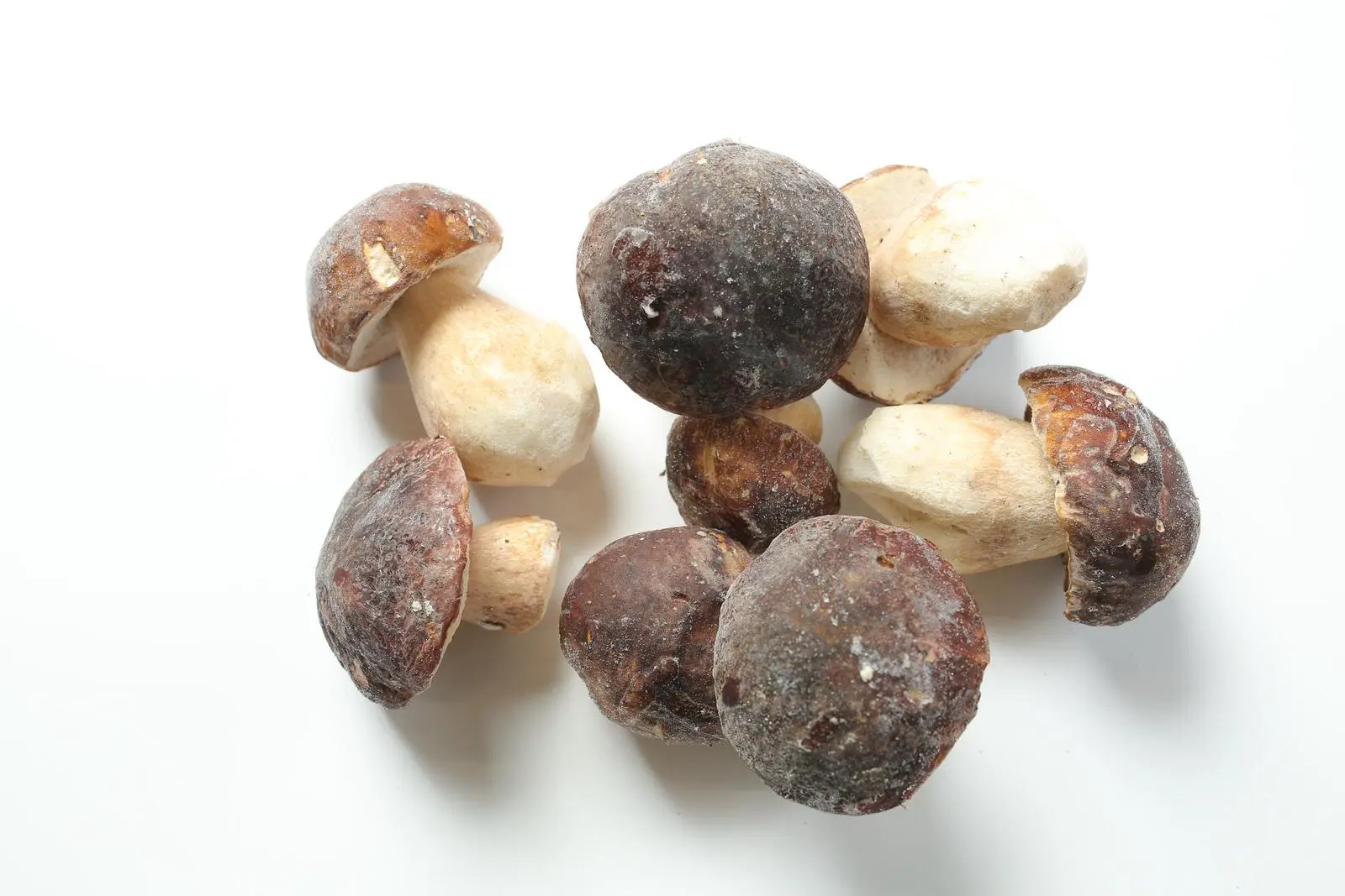 Porcini congelati - Qualità Premium