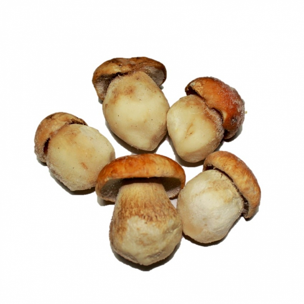 Selezione dei porcini