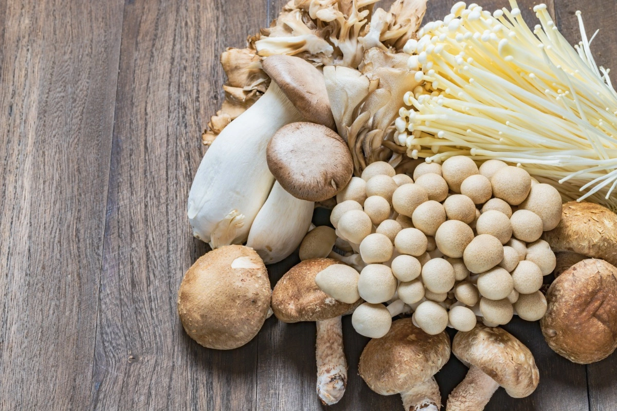 Diagramma che mostra le caratteristiche chiave di identificazione dei funghi