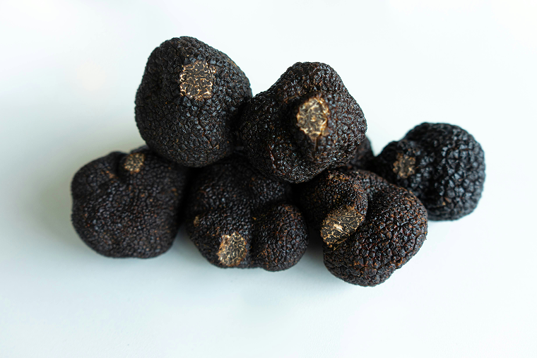 Tartufo nero fresco - Ricco di antiossidanti
