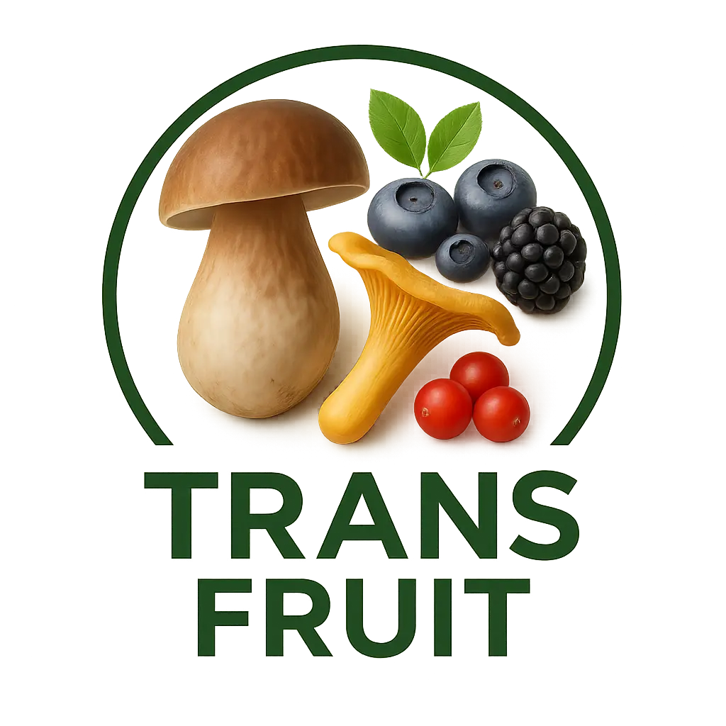 Logo Prodotti Forestali Apuseni